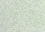 2630