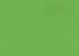 RAL 6018