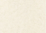 Forum 2420