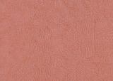 Forum 3012