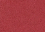 2423
