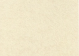 Forum 2421